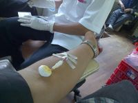 青年志愿者关于献血演讲