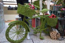 绿色环保自行车作文